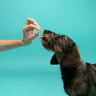 Edgard & Cooper Snacks Mini de Frango para cães - Pack, , large image number null